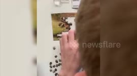 A university student has attracted 300k social media followers by posting time-lapse videos of himself - completing JIGSAWS