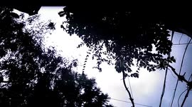 The beginning of the winter season in the Gaza Strip