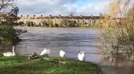 UK market town left stranded by severe flooding after river suddenly breaks its banks following heavy rain