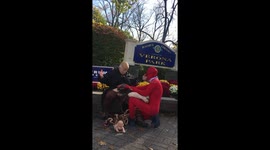 Performance artist 'pulls Trumps intestines out', angers Trump supporters