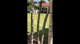 1st lady pre voting in PB. Only civilian around