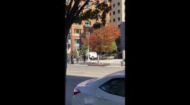 The election protest already started in DC