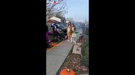 Bush prank in my neighborhood