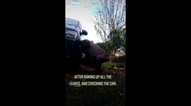 Wife throws leaves over husband