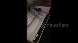 Manchester University students tear down 'lockdown' fences