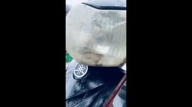 The termite snake appeared strangely in the motorcycle light