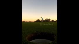 Shane Sky at 5 years old showing adults how to putt a 20 ft putt.
