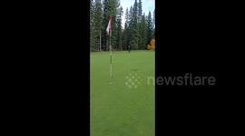 Five-year-old boy makes incredible 52-foot putt