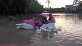 Feeding killer ducks that want to bite the hand that feeds them.
