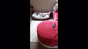 temp