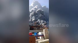 Cloud of black smoke rises into air after chemical factory catches fire in China