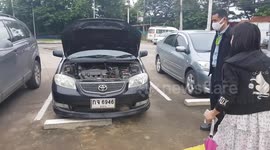 Cat rescued after being hit by car and trapped behind the bumper