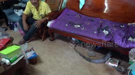 Monitor lizard caught after rampaging through home and hiding under family's sofa