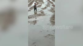 Boy, 5, carries live COBRA through muddy field in the Philippines