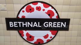 Special Poppy Roundel For Remembrance Day