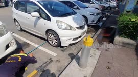 Huge monitor lizard caught hiding under car in Thailand