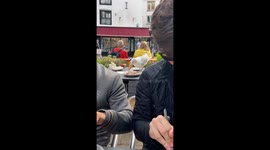 Seagull Swallowing Whole Sausage