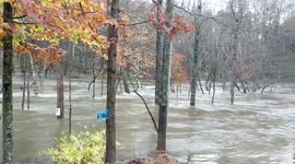 Heavy rains causes flash flooding in North Carolina