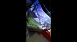 Typhoon Vamco gave me a pet fish! Part 4