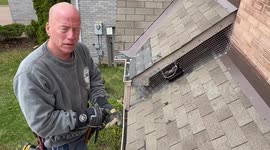 Why It Is Important to Hire an Ethical and Humane Wildlife Control Company