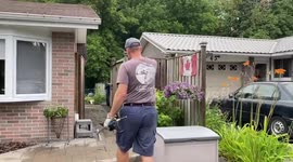 Snake Found in a Scarborough Resident’s Shed