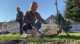 Bunch of baby raccoons reunited with mother in adorable rescue