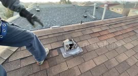 Follow Along | Humane Raccoon Removal