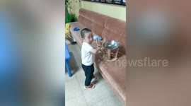 Chinese toddler practises cooking skills picked up from restaurant-owning mum