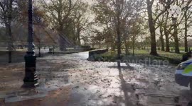 Police grab and detain people from Speakers Corner