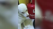 temp