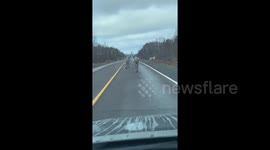 Newsflare Edit - Buchans Highway...Santa’s crew getting ready! @a_brauweiler https://t.co/A035Iv3JYC
