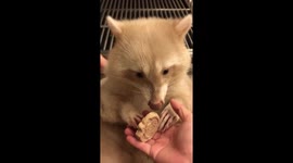 試吃朋友給的零食，太難吃作嘔