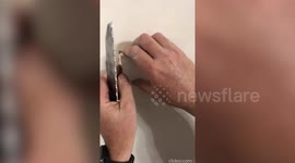 Kitten pulled to freedom through small hole after getting stuck behind house wall