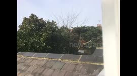 British Workman at their Best