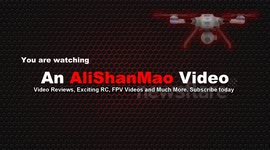 Quadcopter with Canons