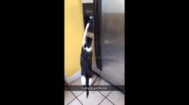 I'm coming to get you!