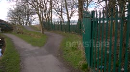 Weasel by the Rochdale Canal