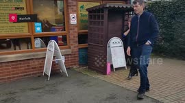 Meet Paw-blo Picasso, the mini labradoodle that PAINTS abstract art