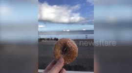 This is the moment a woman tried to get an arty social media photo of her doughnut at the seaside - only to film a seagull swiping it from her hand