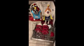 There’s no need to rinse those Thanksgiving dishes.