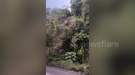 Hurricane Iota Landslide Blocks Road In Honduras