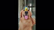 temp