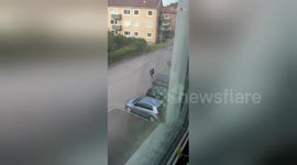 Watch the hilarious moment man is targeted by randy seagull