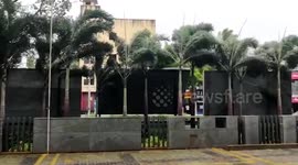 Palm trees sway to gushing winds in southern India ahead of Cyclone Nivar