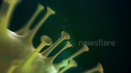 Target Zero ! COVID-19: An Epidemic Story 