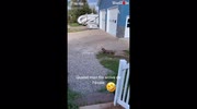 temp