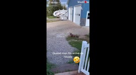 Doggy Happy To See Her Favorite Human