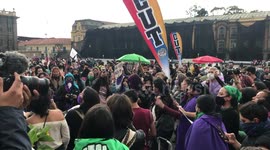 Women's March in honor of the International Day for the Elimination of Violence against Women in Bogota, Colombia