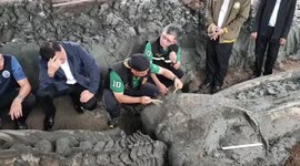 Perfectly preserved 5,000-year-old whale skeleton found in Thailand