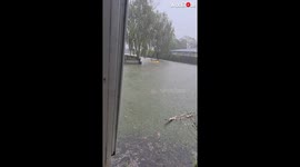 Guy Enjoying Kayaking In Napier, New Zealand